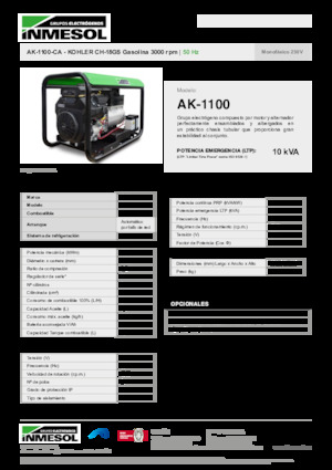 Generatori a benzina INMESOL AK-1100-CA