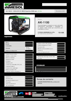 Generatori a benzina INMESOL AK-1100-E