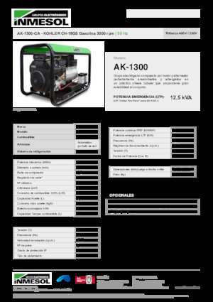 Generatori a benzina INMESOL AK-1300-CA