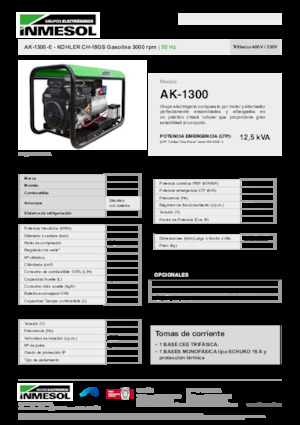 Generatori a benzina INMESOL AK-1300-E