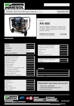 Generatori a benzina INMESOL AK-900-M