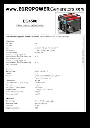 Generatori a benzina Europower EG4500