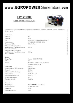 Generatori a benzina Europower EP12000E (S)