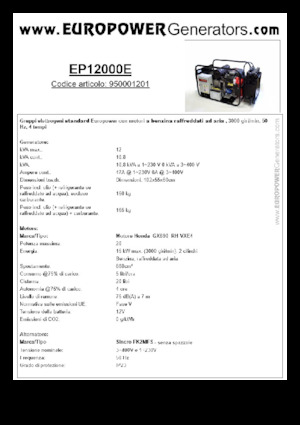 Generatori a benzina Europower EP12000E (S)