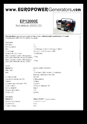 Generatori a benzina Europower EP12000E (S)