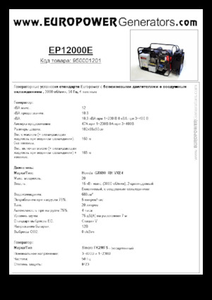 Generatori a benzina Europower EP12000E (S)