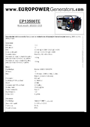 Generatori a benzina Europower EP13500TE (S)