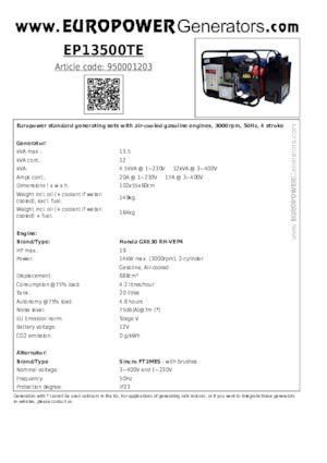 Generatori a benzina Europower EP13500TE (S)