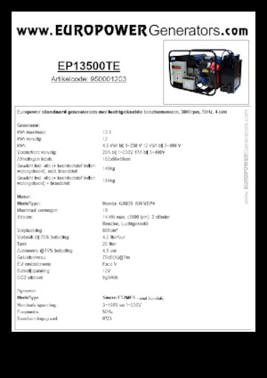 Generatori a benzina Europower EP13500TE (S)