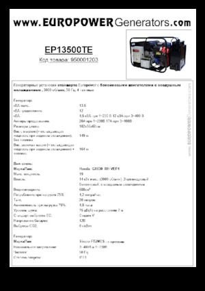 Generatori a benzina Europower EP13500TE (S)