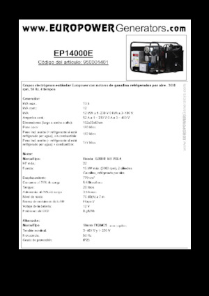 Generatori a benzina Europower EP14000E (S)