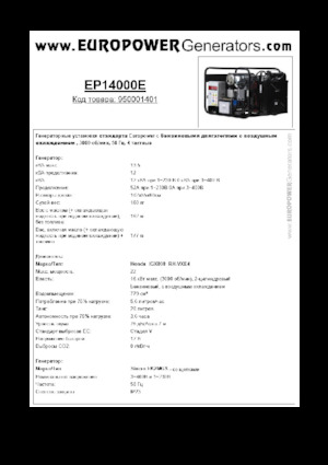 Generatori a benzina Europower EP14000E (S)