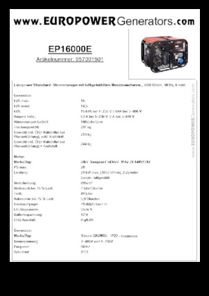 Generatori a benzina Europower EP16000E (S)