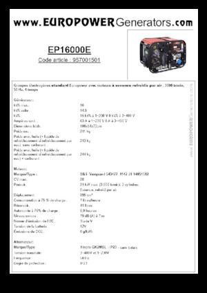 Generatori a benzina Europower EP16000E (S)
