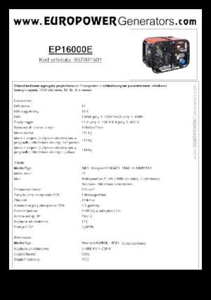 Generatori a benzina Europower EP16000E (S)