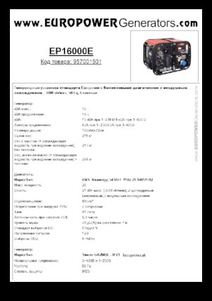 Generatori a benzina Europower EP16000E (S)