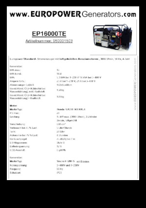 Generatori a benzina Europower EP16000TE (S)
