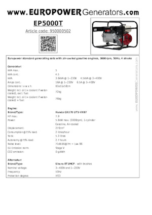 Generatori a benzina Europower EP5000T (S)