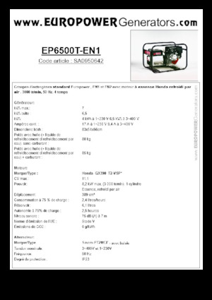 Generatori a benzina Europower EP6500T-EN1 (S)