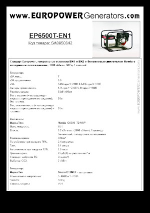 Generatori a benzina Europower EP6500T-EN1 (S)