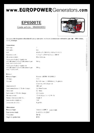 Generatori a benzina Europower EP6500TE (S)