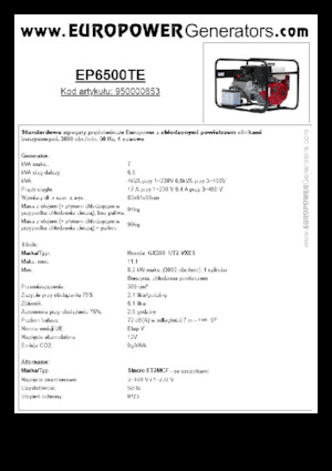 Generatori a benzina Europower EP6500TE (S)