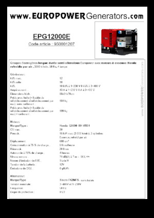 Generatori a benzina Europower EPG12000E (S)