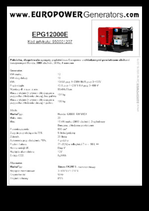 Generatori a benzina Europower EPG12000E (S)