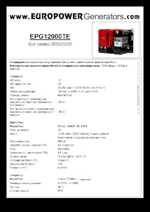Generatori a benzina Europower EPG12000TE (S)