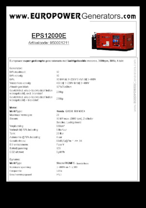 Generatori a benzina Europower EPS12000E (S)