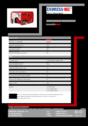 Generatori a benzina Endress ESE 1006 HG-GT ES ISO Duplex