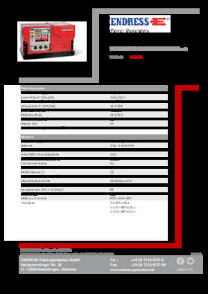 Generatori a benzina Endress ESE 1308 DBG ES ISO Duplex Silent