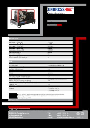 Generatori a benzina Endress ESE 2006 DBS-GT ES 