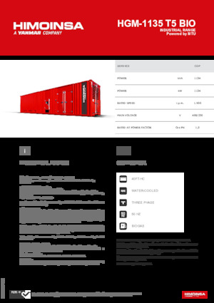 Generatori a benzina HIMOINSA HGM-1135 T5 BIO