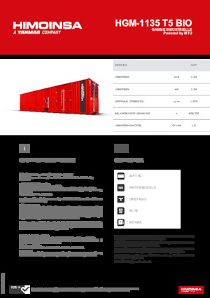 Generatori a benzina HIMOINSA HGM-1135 T5 BIO