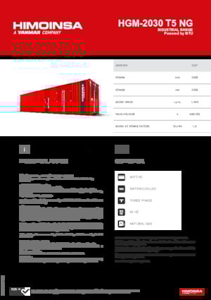 Generatori a benzina HIMOINSA HGM-2030 T5 NG
