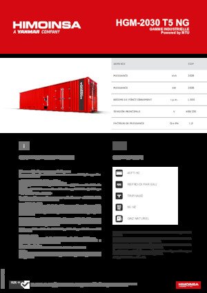 Generatori a benzina HIMOINSA HGM-2030 T5 NG