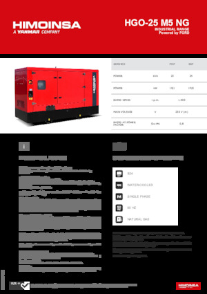 Generatori a benzina HIMOINSA HGO-25 M5 NG