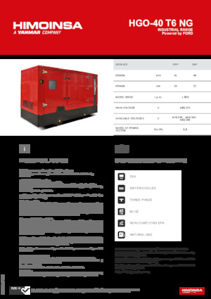 Generatori a benzina HIMOINSA HGO-40 T6 NG