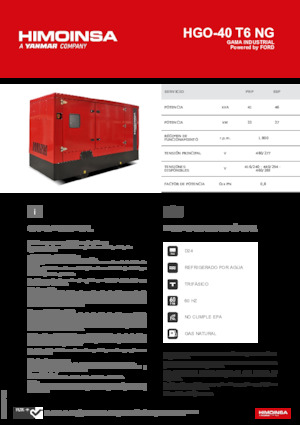 Generatori a benzina HIMOINSA HGO-40 T6 NG