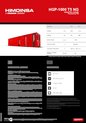 Generatori a benzina HIMOINSA HGP-1000 T5 NG
