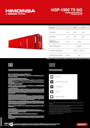 Generatori a benzina HIMOINSA HGP-1000 T5 NG