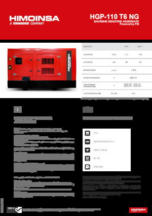 Generatori a benzina HIMOINSA HGP-110 T6 NG