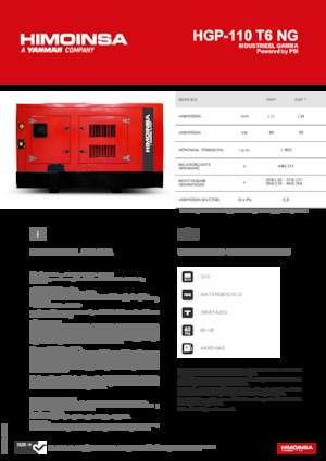 Generatori a benzina HIMOINSA HGP-110 T6 NG