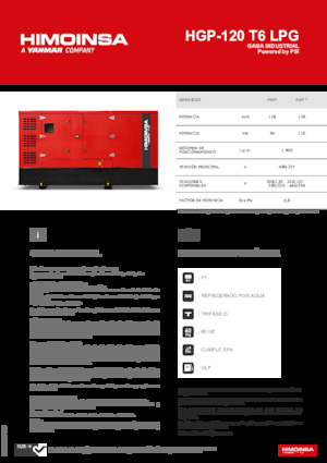 Generatori a benzina HIMOINSA HGP-120 T6 LPG