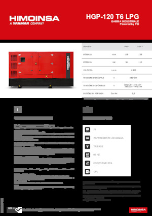 Generatori a benzina HIMOINSA HGP-120 T6 LPG