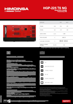 Generatori a benzina HIMOINSA HGP-225 T6 NG