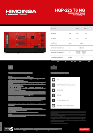 Generatori a benzina HIMOINSA HGP-225 T6 NG