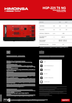 Generatori a benzina HIMOINSA HGP-225 T6 NG