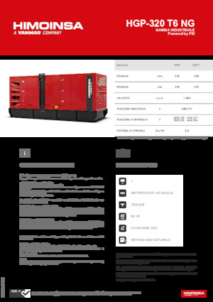 Generatori a benzina HIMOINSA HGP-320 T6 NG